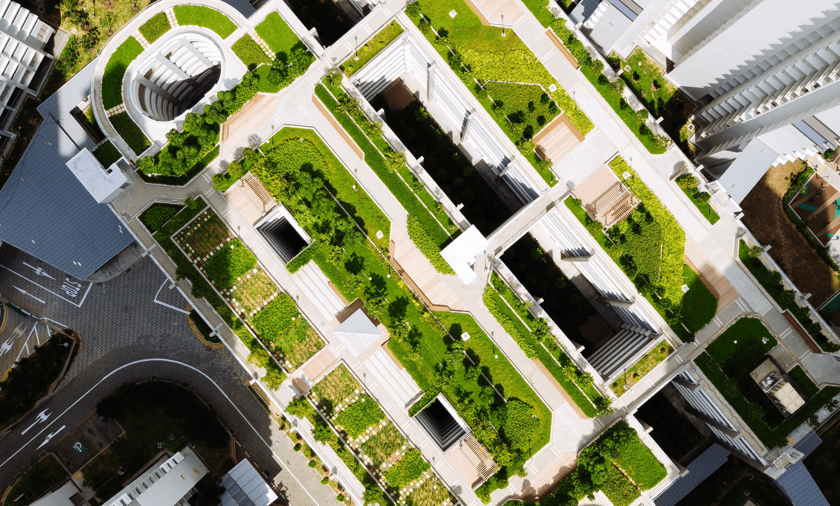 green roofs in a city 