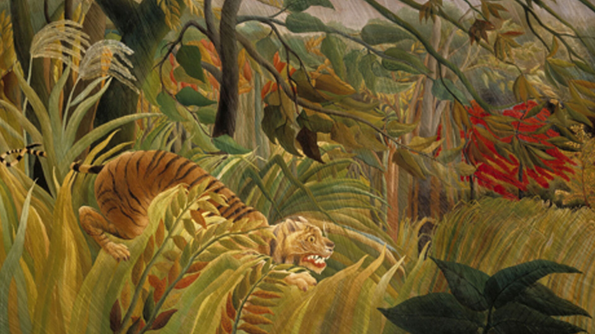 Image with a lion