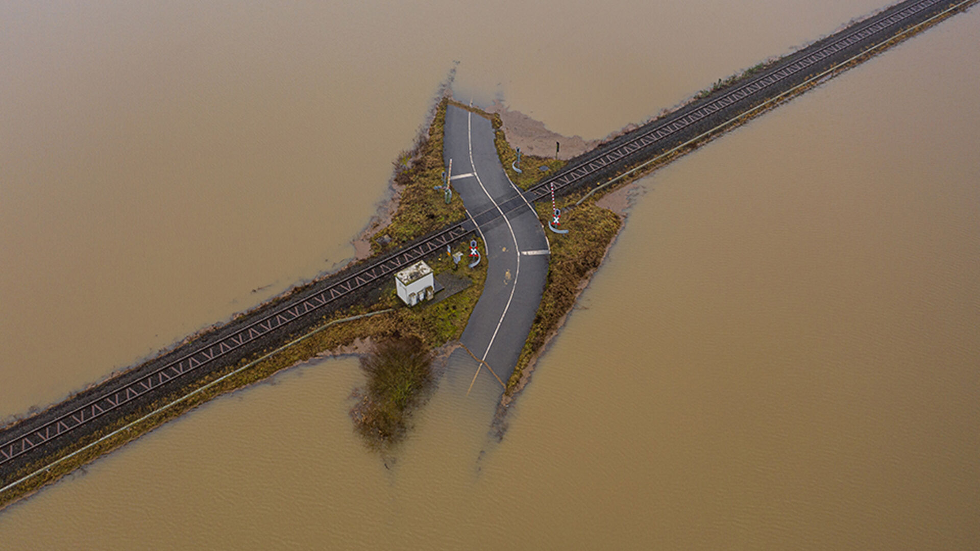 How the insurance industry can help reverse nature loss 