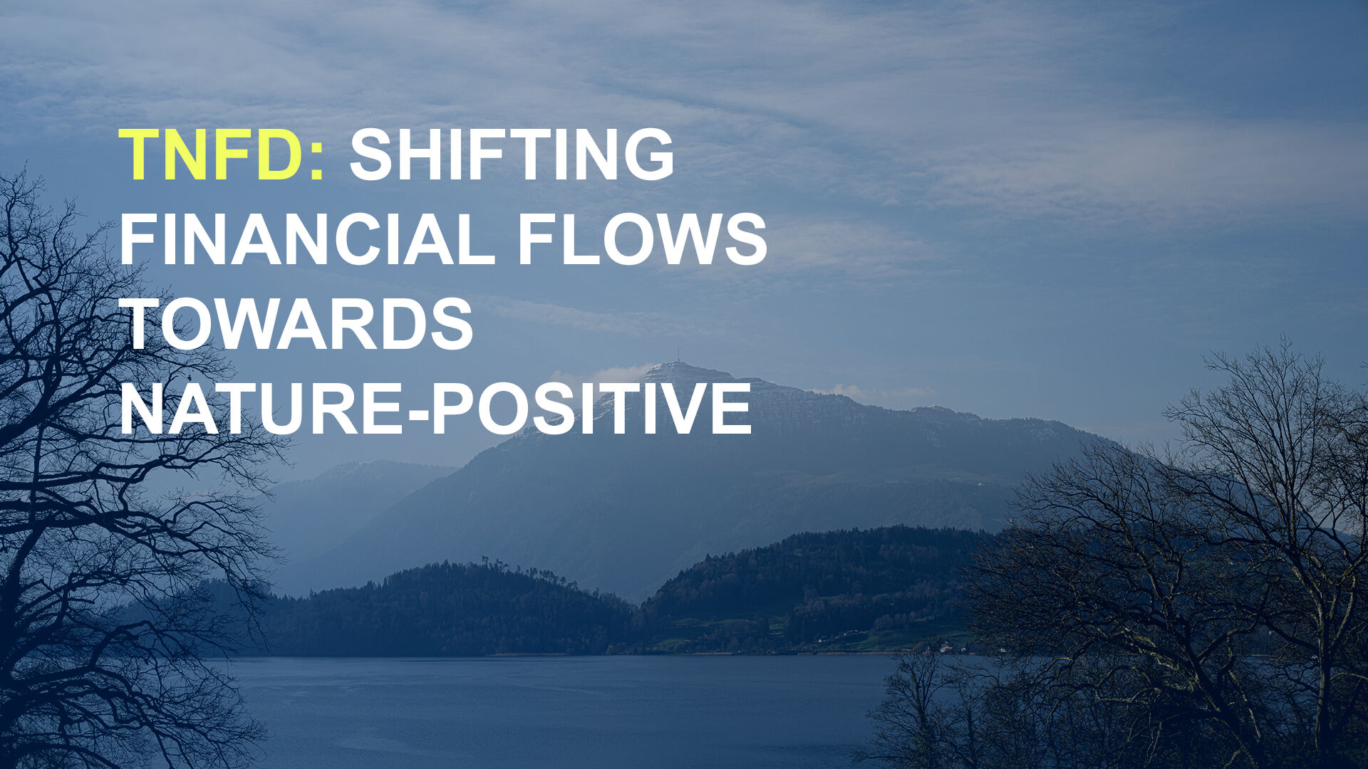 TNFD: Shifting financial flows towards nature positive outcomes