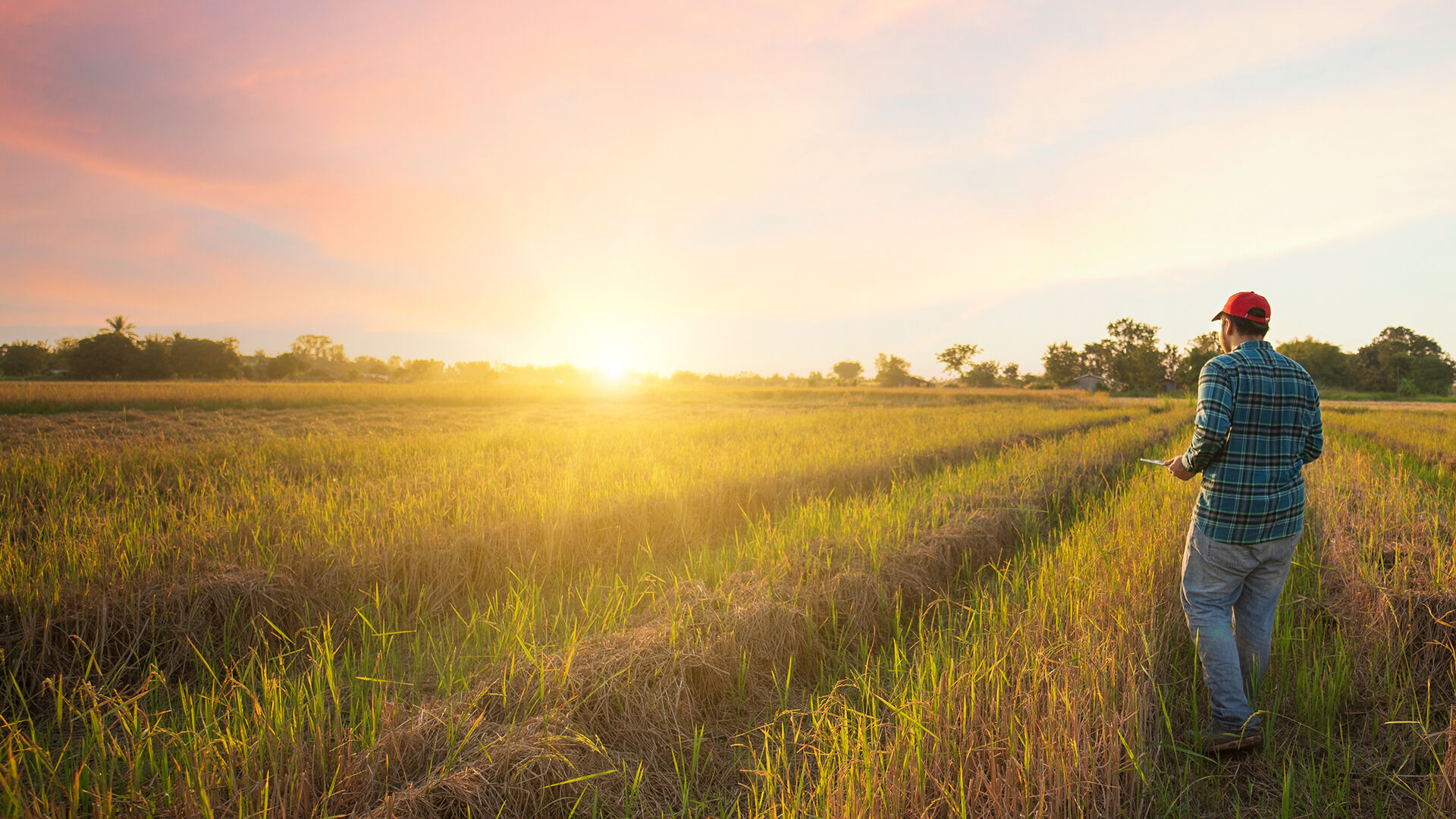 Image of a sunset